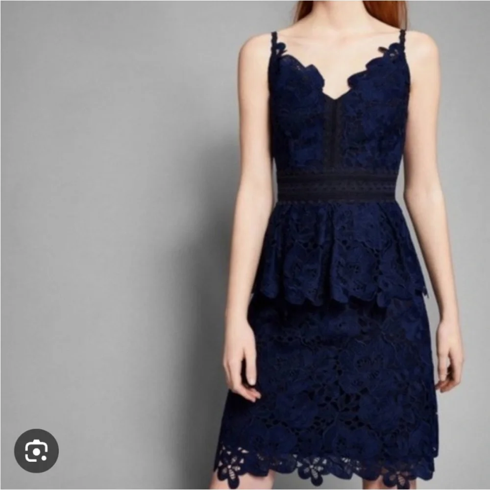 Ted Baker Nadiie Navy Blue Peplum Lace Dress - Picture 3 of 4